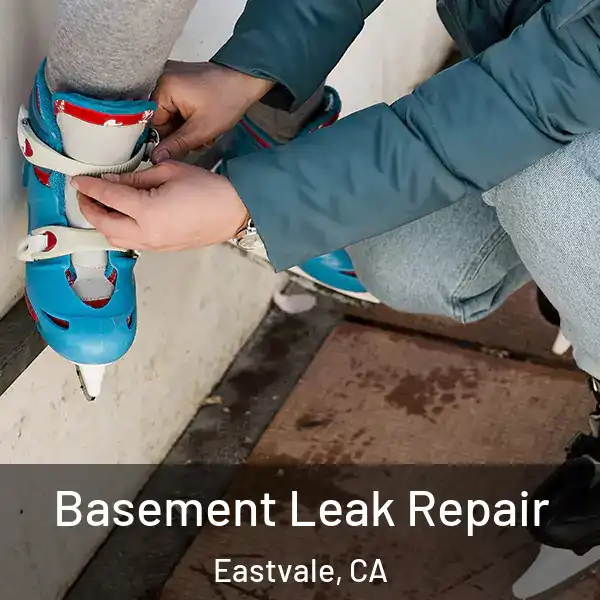  Basement Leak Repair Eastvale, CA