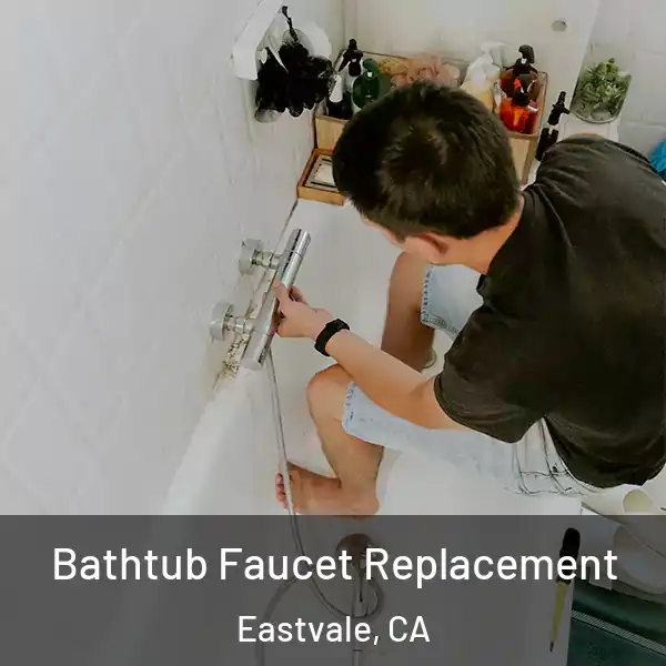  Bathtub Faucet Replacement Eastvale, CA