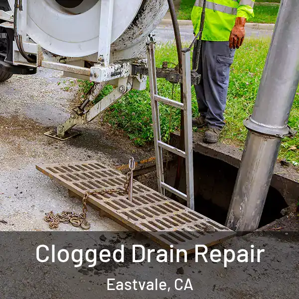  Clogged Drain Repair Eastvale, CA