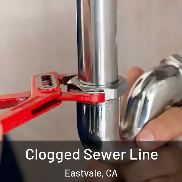  Clogged Sewer Line Eastvale, CA