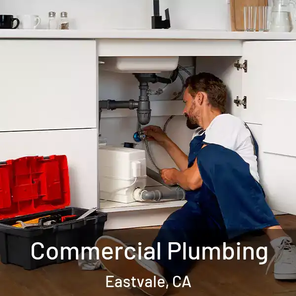  Commercial Plumbing Eastvale, CA