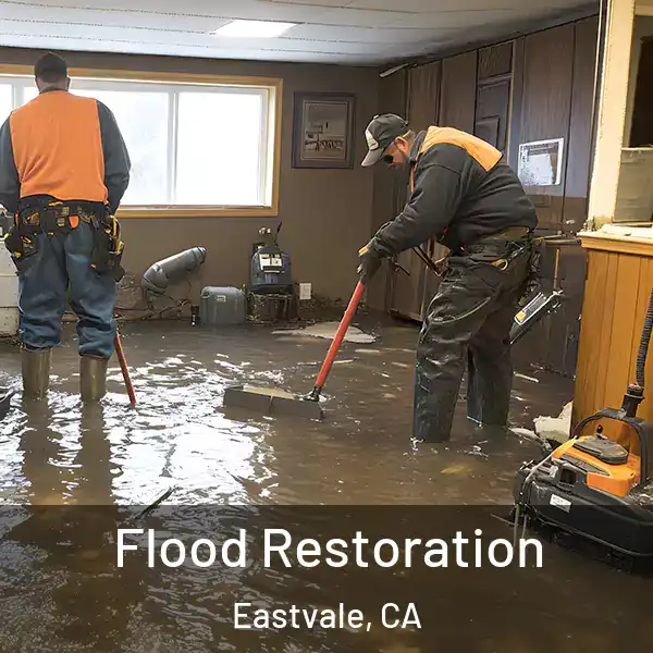  Flood Restoration Eastvale, CA