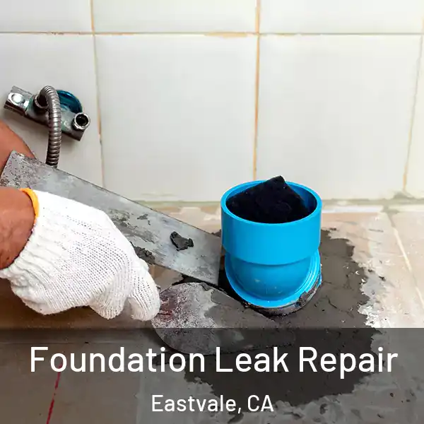  Foundation Leak Repair Eastvale, CA