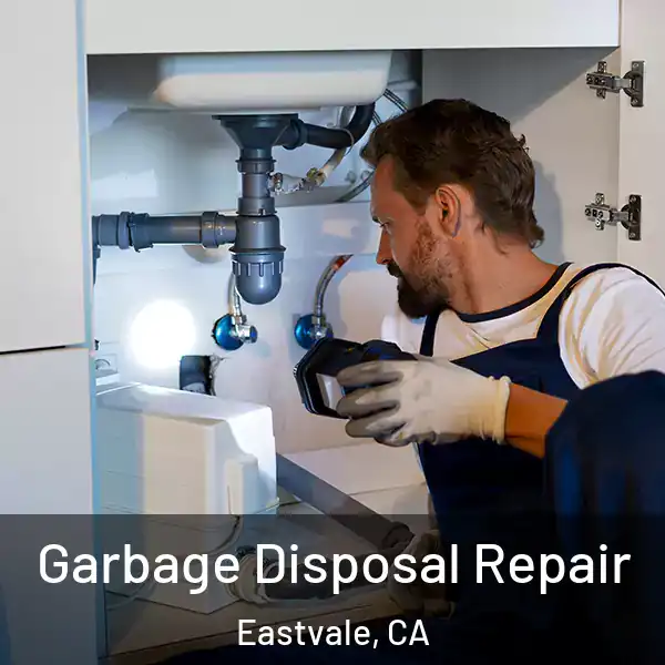  Garbage Disposal Repair Eastvale, CA
