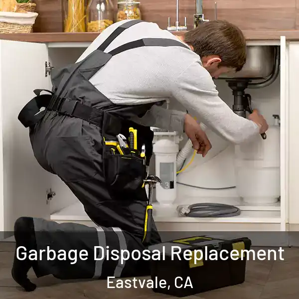  Garbage Disposal Replacement Eastvale, CA
