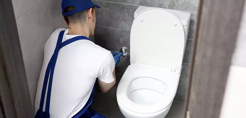 Toilet Lid Replacement in Eastvale