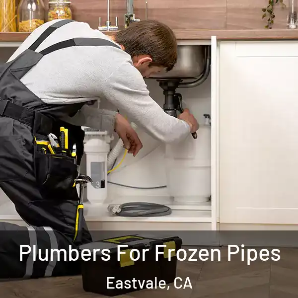  Plumbers For Frozen Pipes Eastvale, CA