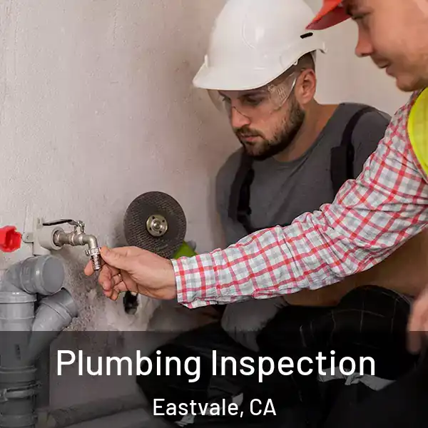  Plumbing Inspection Eastvale, CA