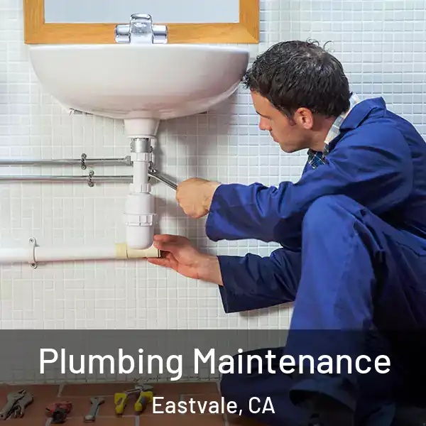  Plumbing Maintenance Eastvale, CA