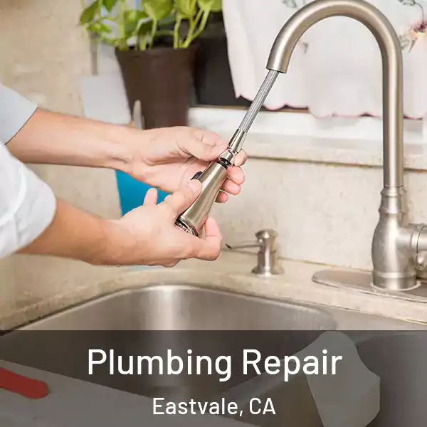  Plumbing Repair Eastvale, CA