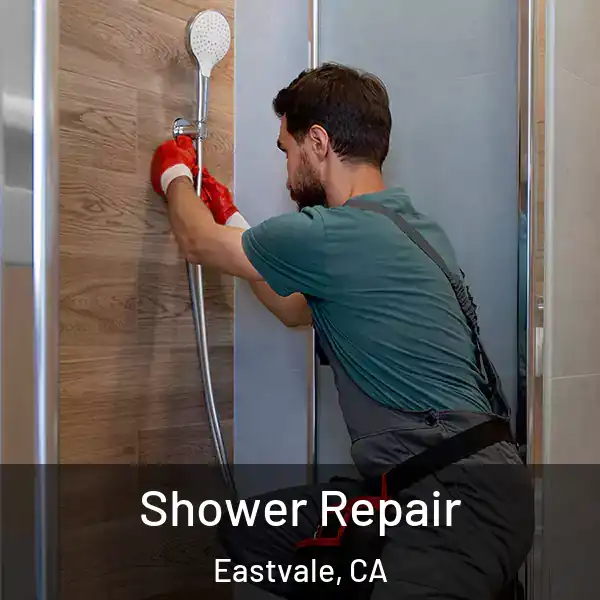  Shower Repair Eastvale, CA