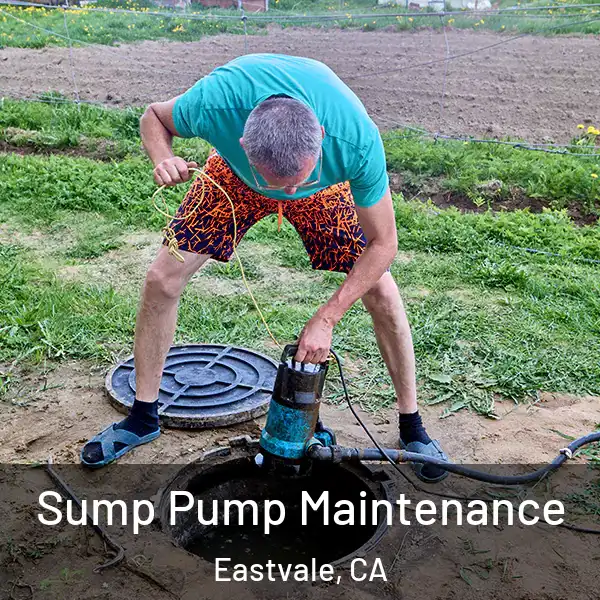  Sump Pump Maintenance Eastvale, CA