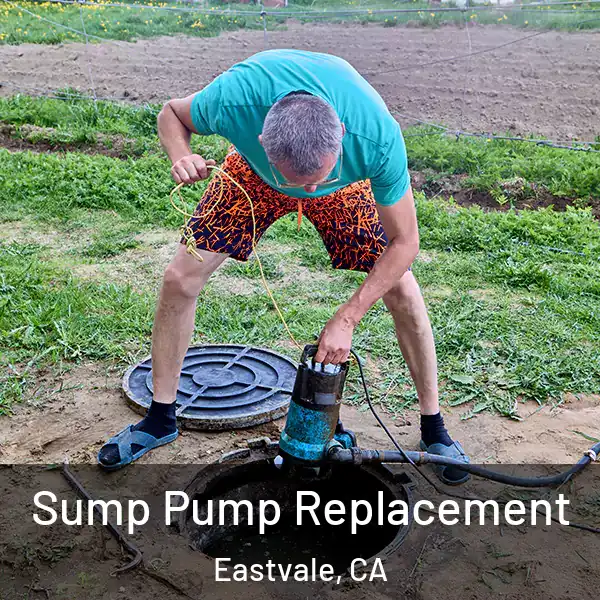 Sump Pump Replacement Eastvale, CA