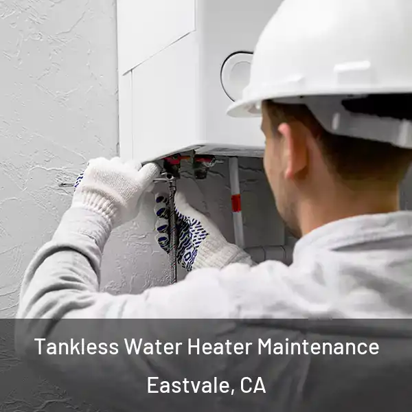  Tankless Water Heater Maintenance Eastvale, CA