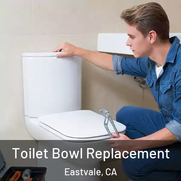 Toilet Bowl Replacement Eastvale, CA