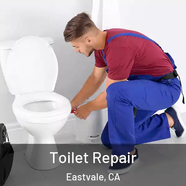  Toilet Repair Eastvale, CA