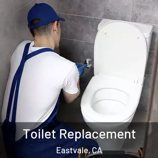  Toilet Replacement Eastvale, CA