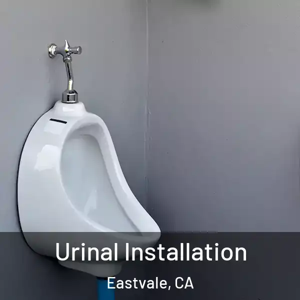  Urinal Installation Eastvale, CA