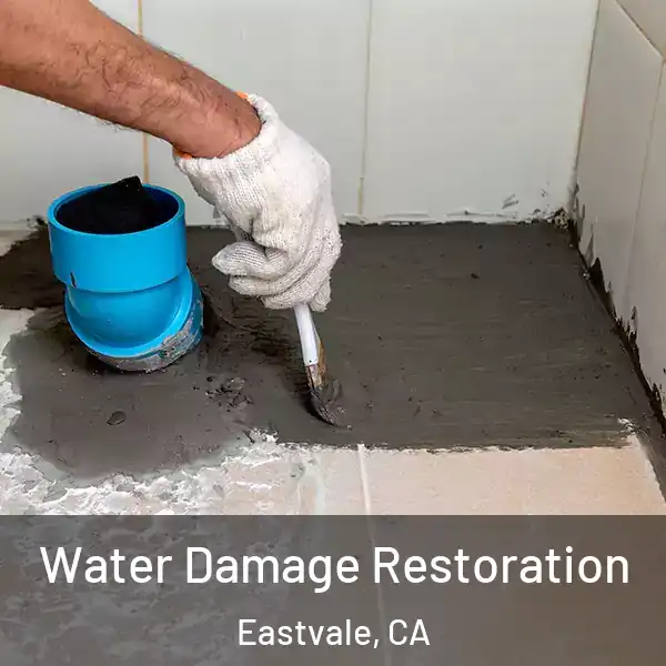  Water Damage Restoration Eastvale, CA