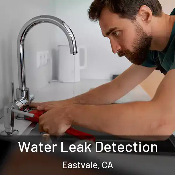  Water Leak Detection Eastvale, CA