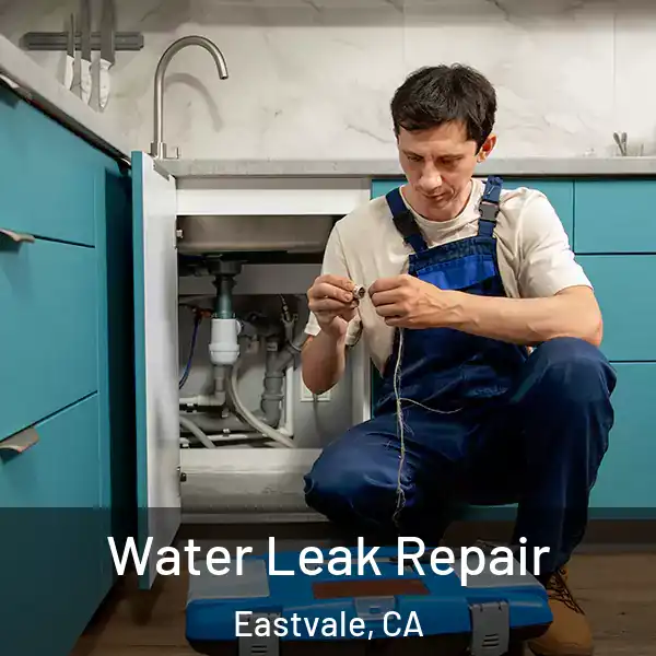  Water Leak Repair Eastvale, CA