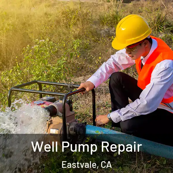  Well Pump Repair Eastvale, CA